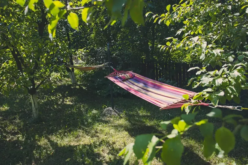Livadă – zonă de relaxare